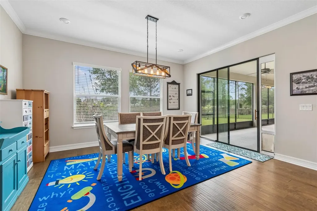 28602 Marsciano Lane Wesley Chapel FL 33543
