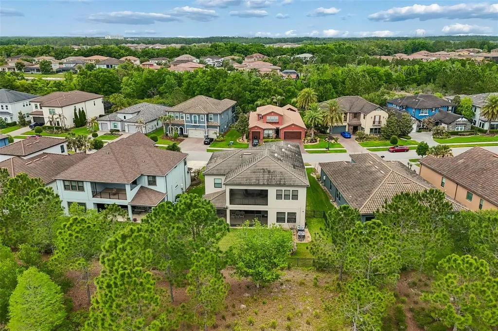 28602 Marsciano Lane Wesley Chapel FL 33543