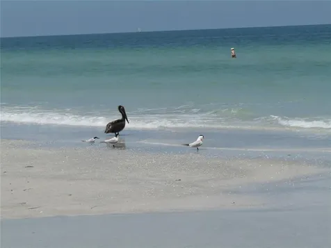 1451 Gulf Boulevard Clearwater Beach FL 33767