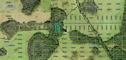 Polk City Polk City FL 33868