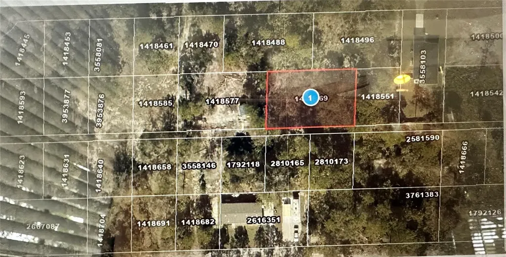 Lots 121 & 122 Park Forest Boulevard Mount Dora FL 32757
