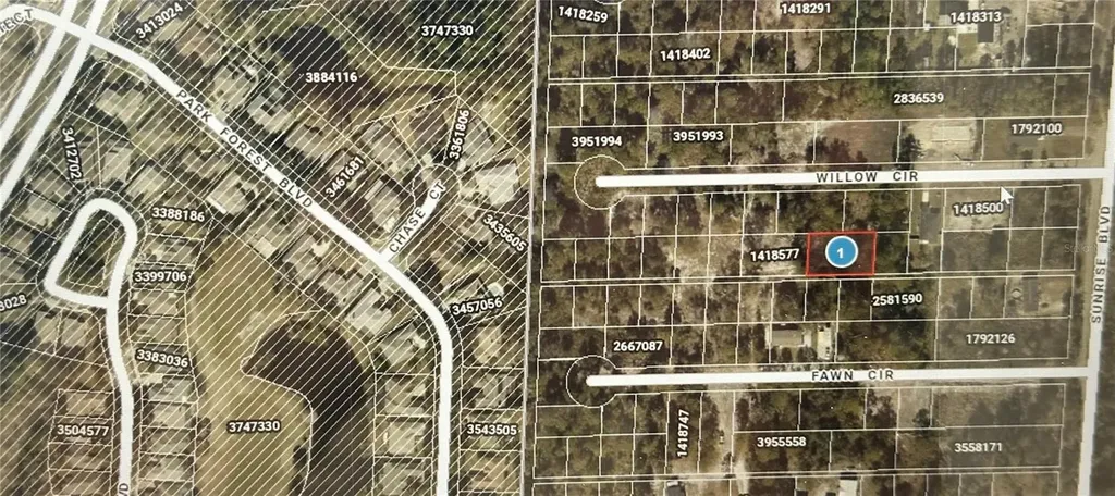 Lots 121 & 122 Park Forest Boulevard Mount Dora FL 32757