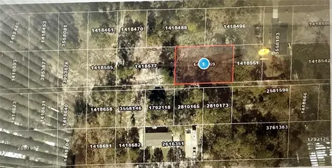 Lots 121 & 122 Park Forest Boulevard Mount Dora FL 32757