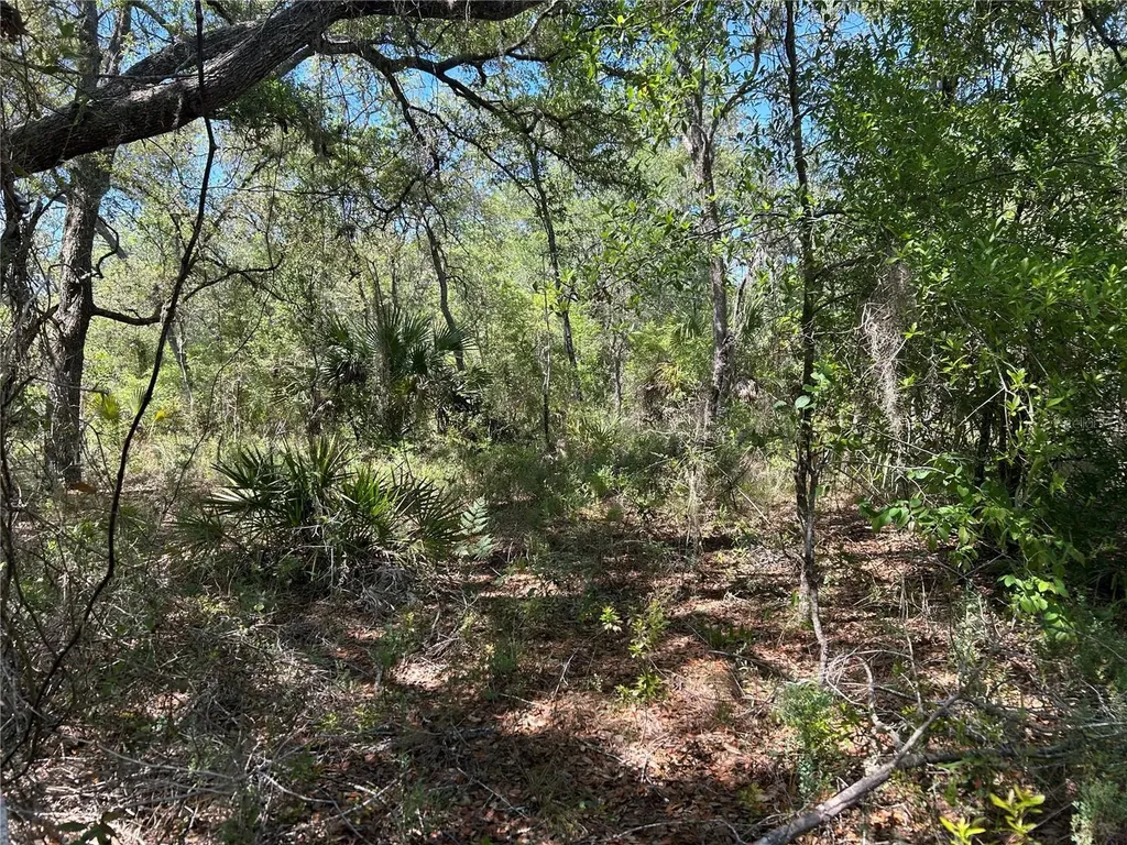 Tbd SE 62nd Morriston FL 32668