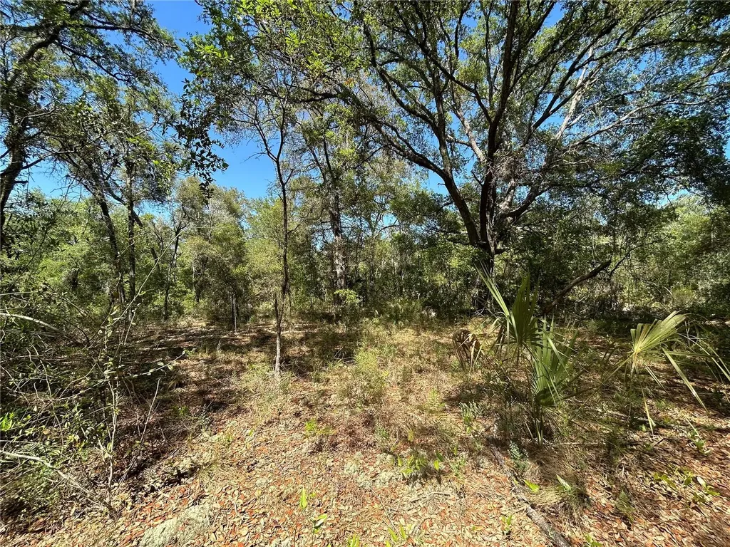 Tbd SE 62nd Morriston FL 32668