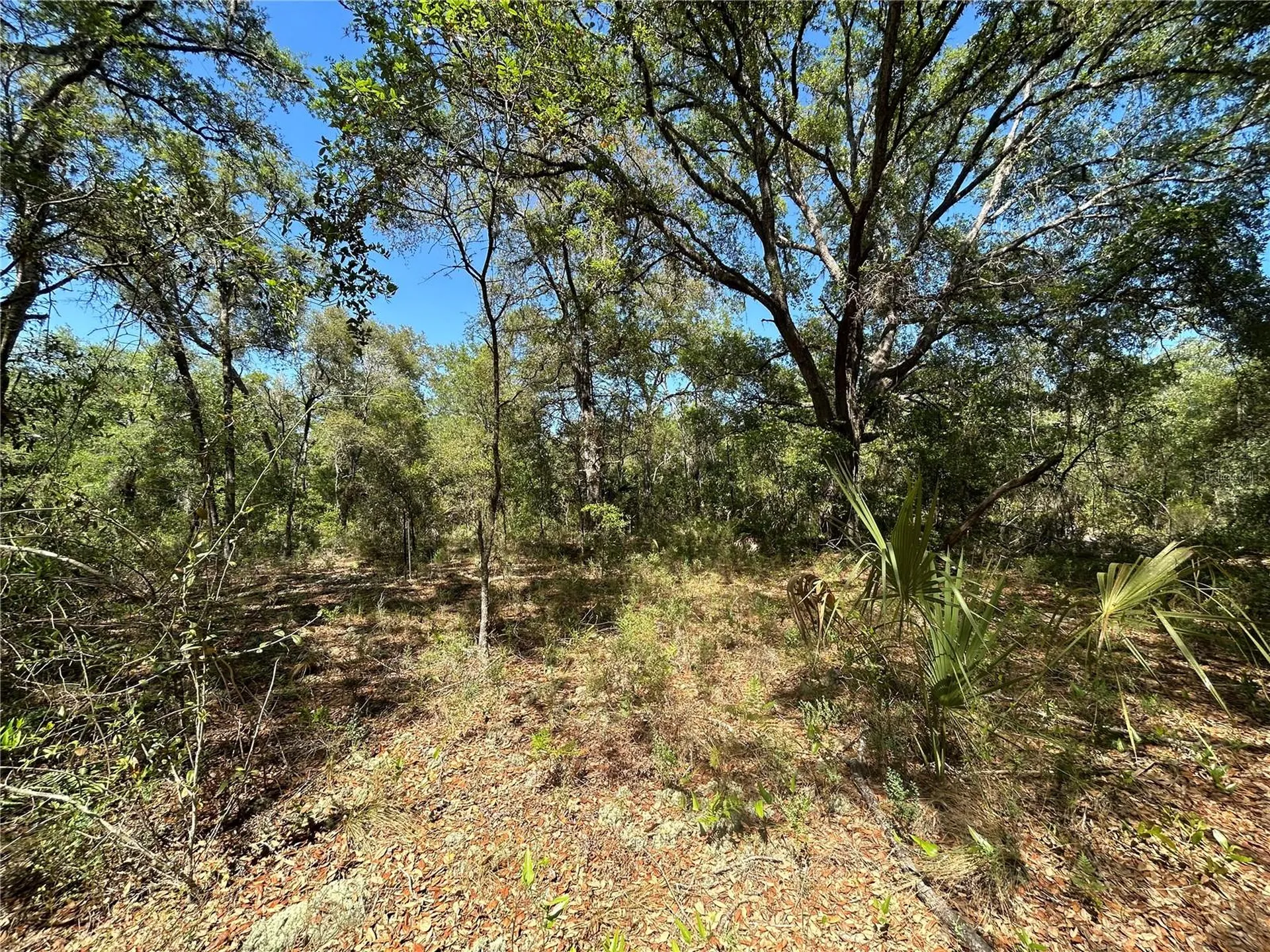 Tbd SE 62nd Morriston FL 32668