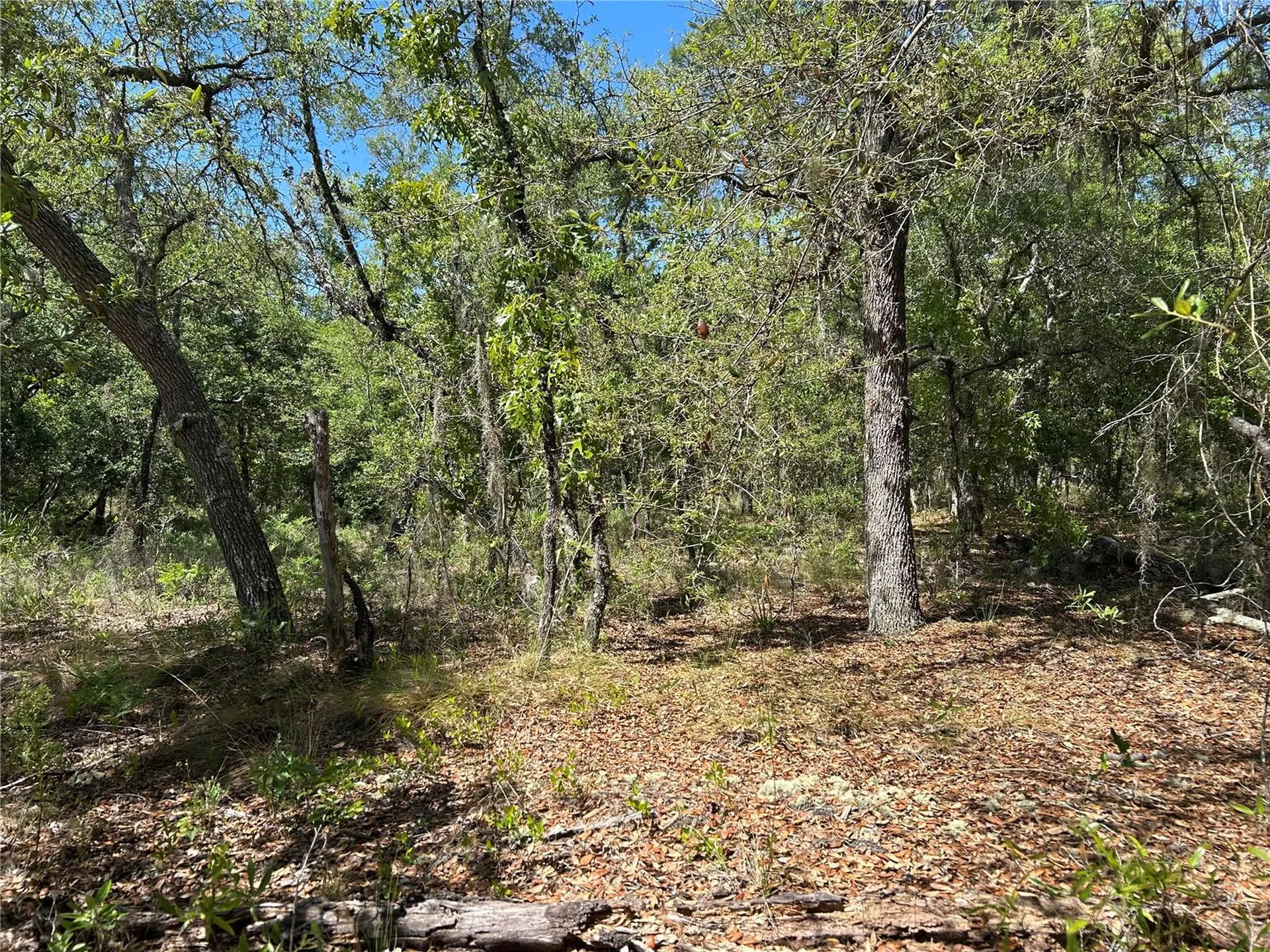 Tbd SE 62nd Morriston FL 32668