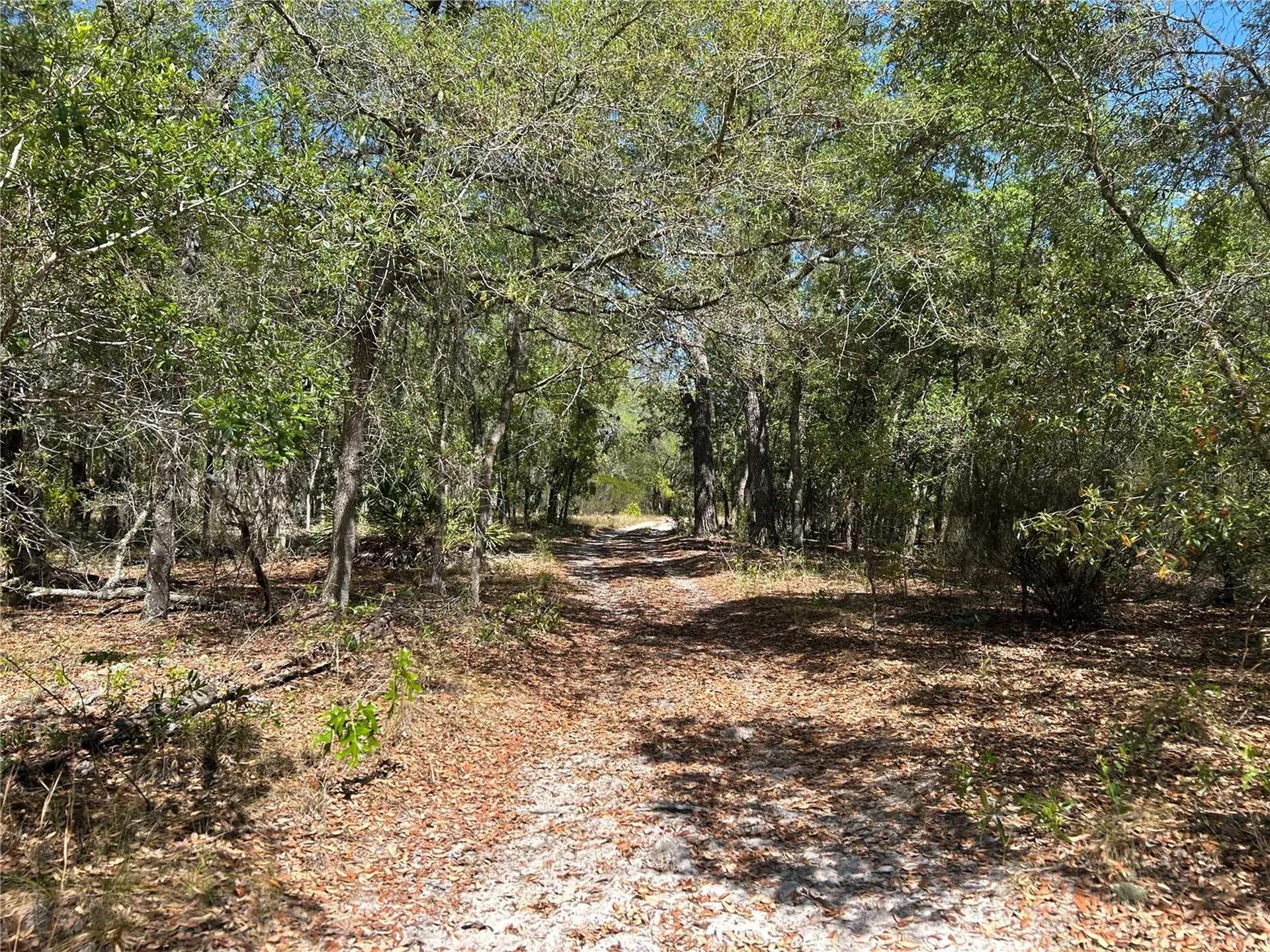 Tbd SE 62nd Morriston FL 32668