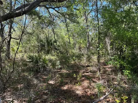Tbd SE 62nd Morriston FL 32668