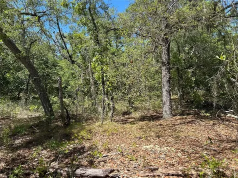 Tbd SE 62nd Morriston FL 32668