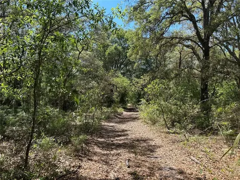 Tbd SE 62nd Morriston FL 32668