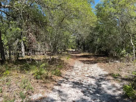 Tbd SE 62nd Morriston FL 32668