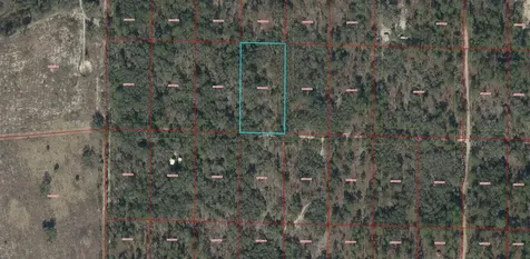 Tbd SE 62nd Morriston FL 32668