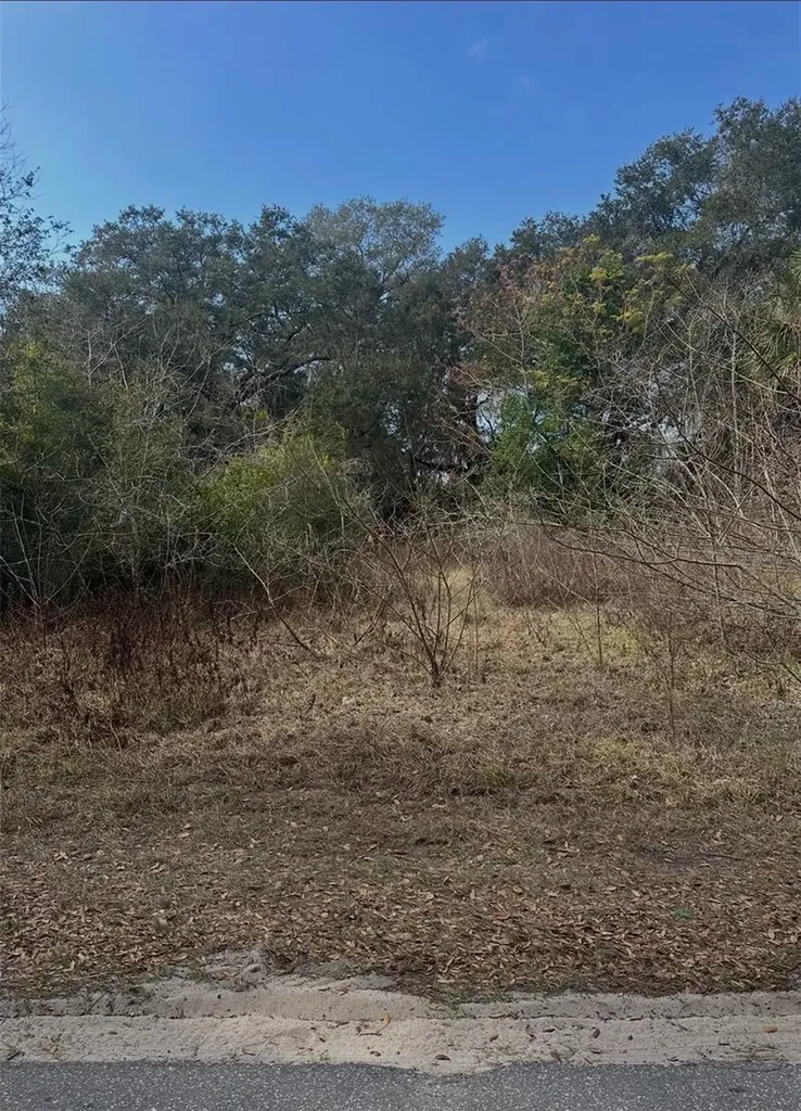 16644 SE 134th Terrace Weirsdale FL 32195
