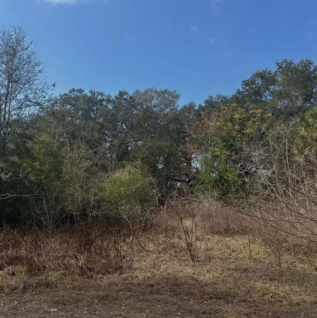 16644 SE 134th Terrace Weirsdale FL 32195