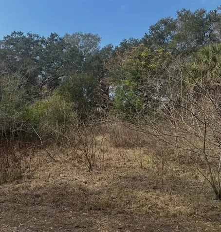 16644 SE 134th Terrace Weirsdale FL 32195