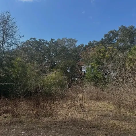 16644 SE 134th Terrace Weirsdale FL 32195
