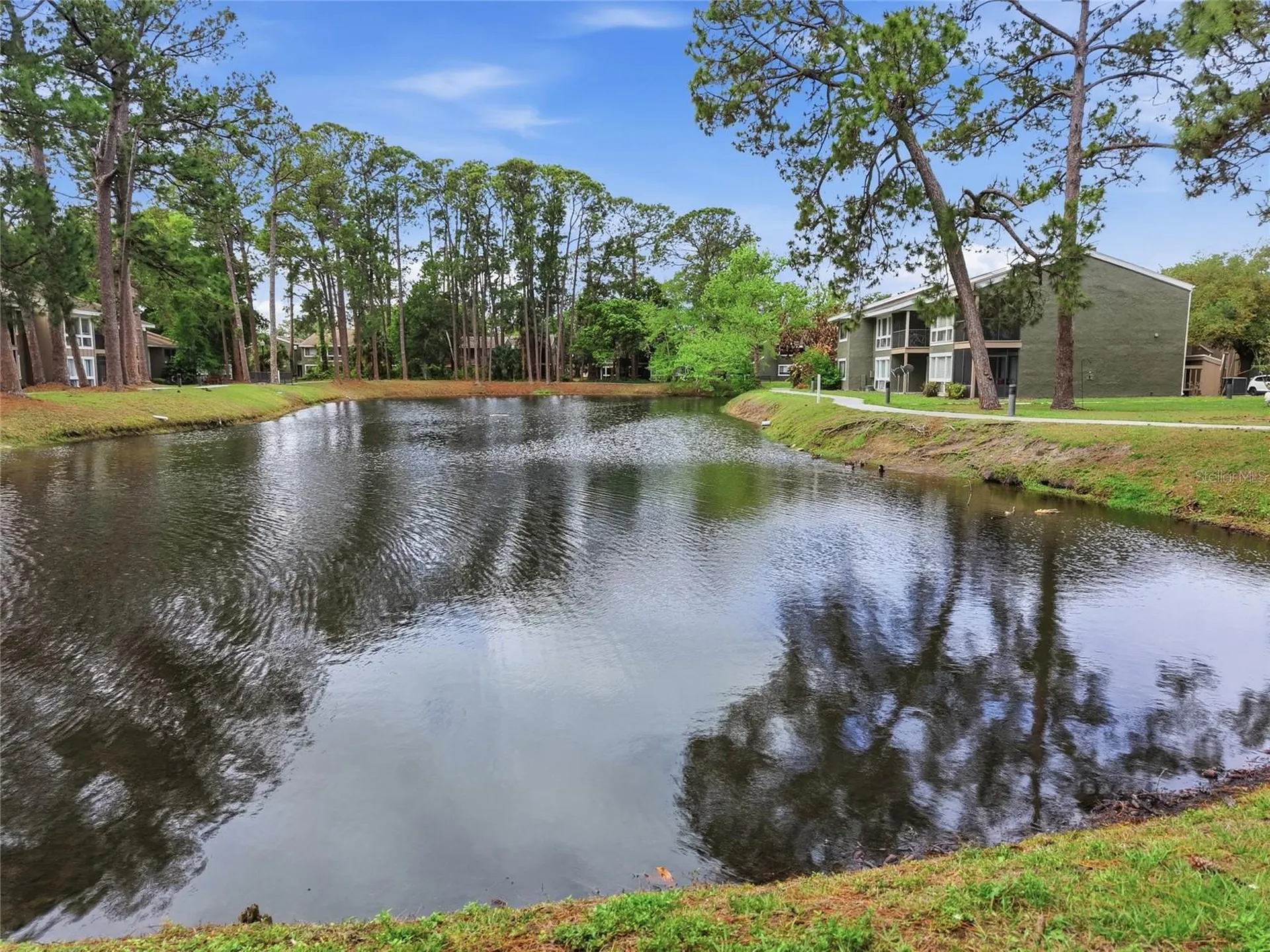 6060 Peregrine Avenue Orlando FL 32819