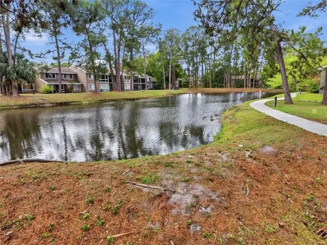 6060 Peregrine Avenue Orlando FL 32819
