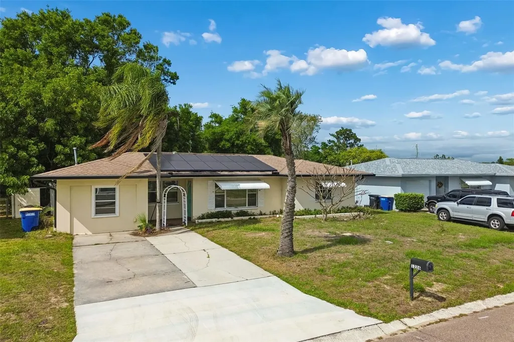 1226 Magnolia Drive Clearwater FL 33756