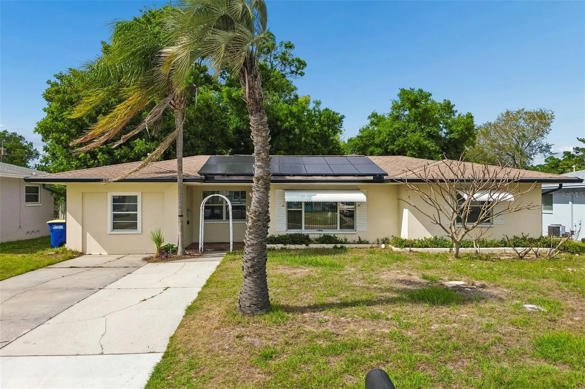 1226 Magnolia Drive Clearwater FL 33756