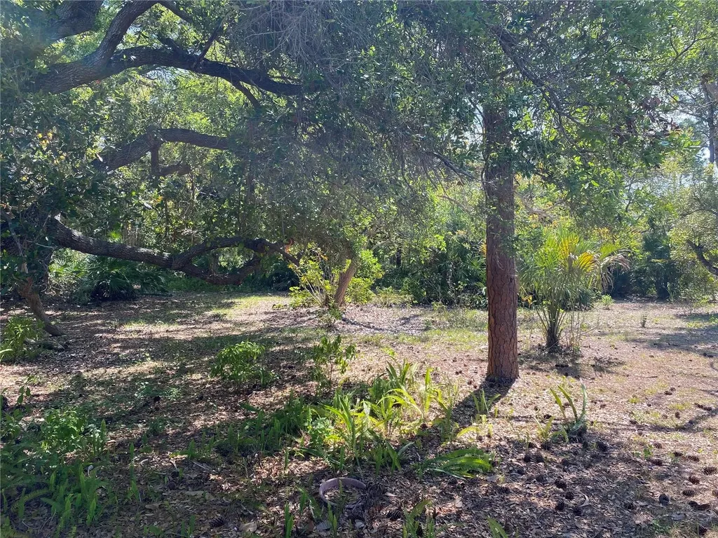 9191 Gewant Boulevard Punta Gorda FL 33982