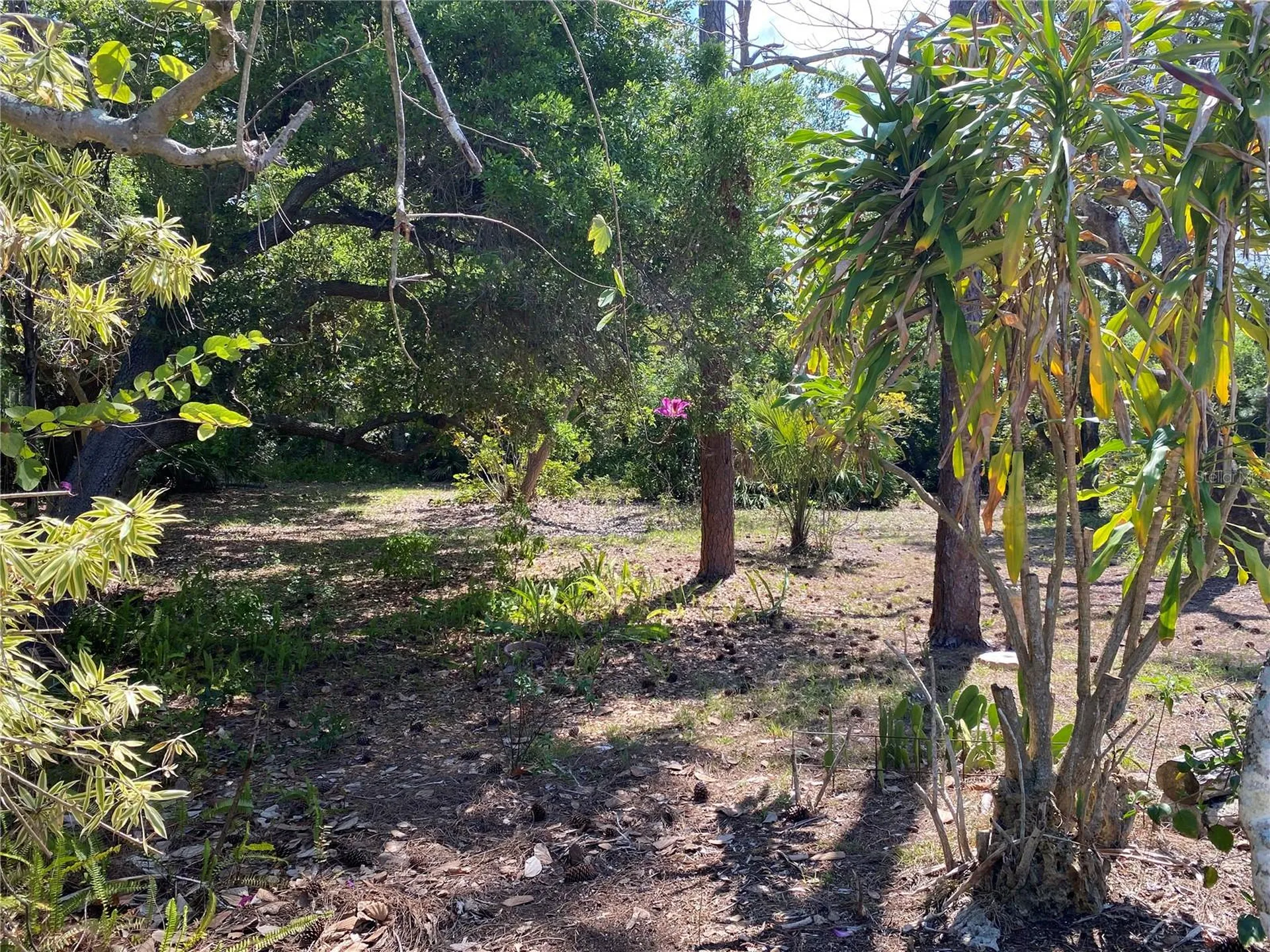 9191 Gewant Boulevard Punta Gorda FL 33982