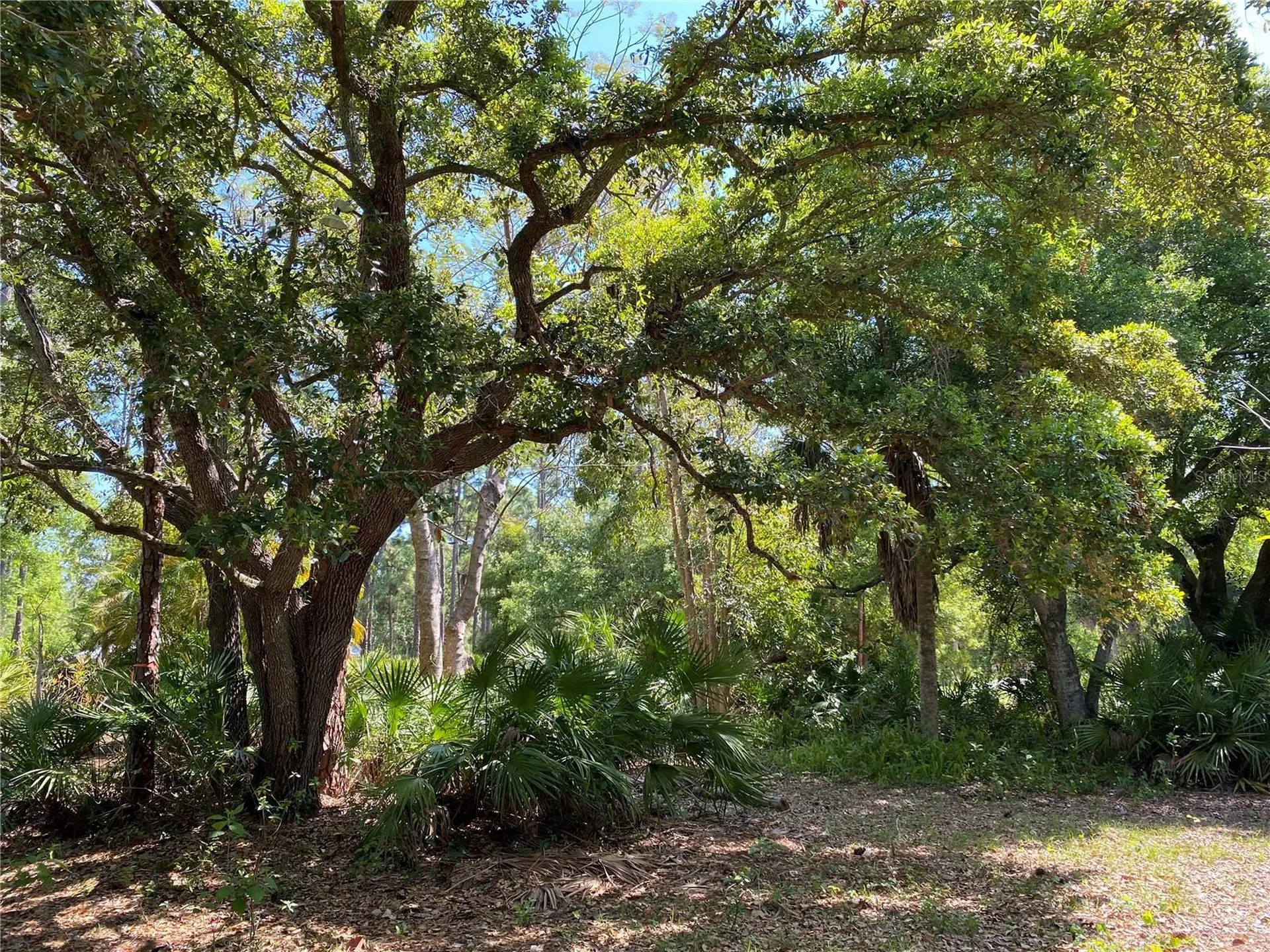 9191 Gewant Boulevard Punta Gorda FL 33982