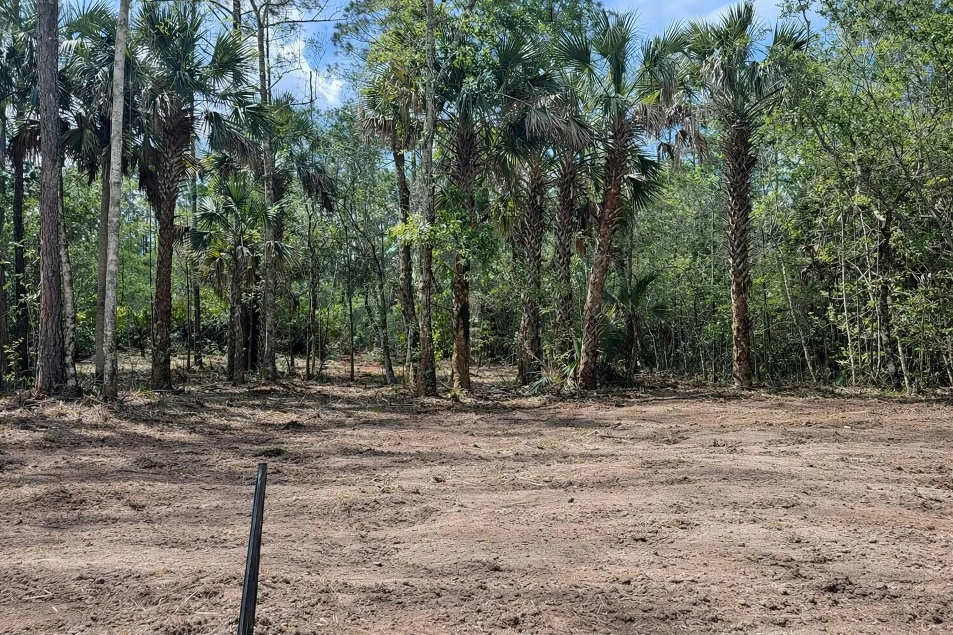 2216 Laurel Avenue Bunnell FL 32110
