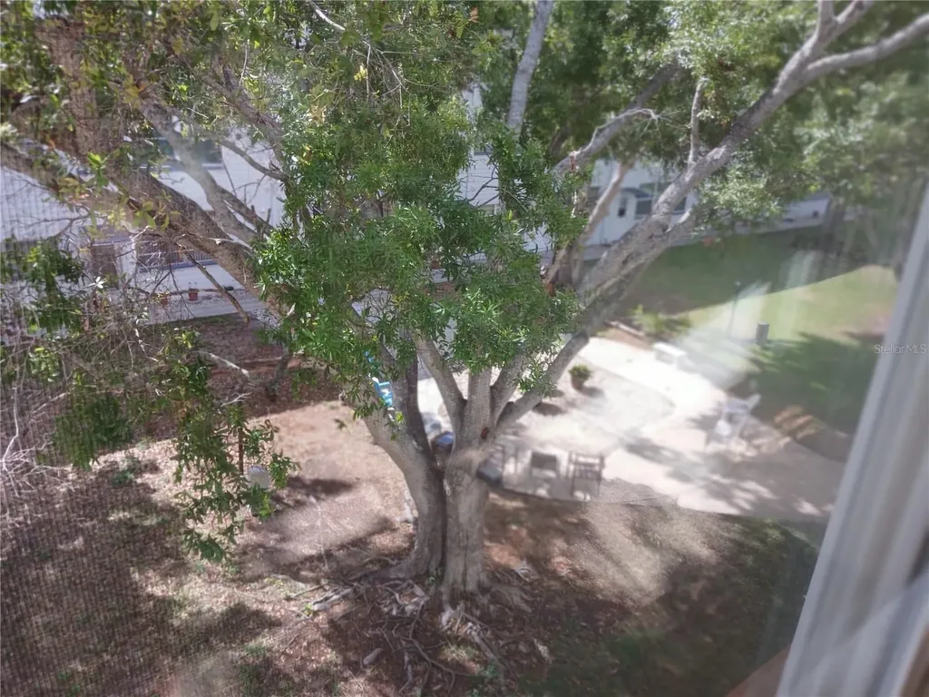 5880 38th Avenue N St Petersburg FL 33710