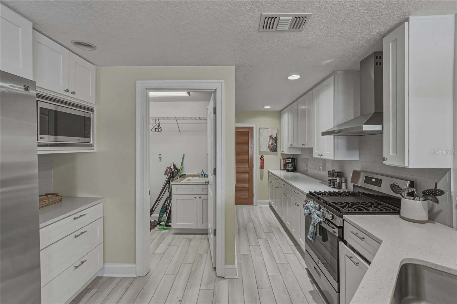 1004 Sago Palm Way Apollo Beach FL 33572