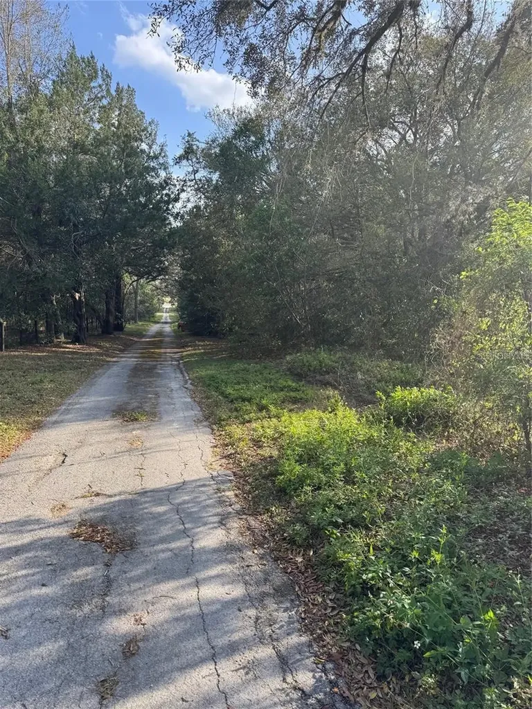 State Road 44 Eustis FL 32726