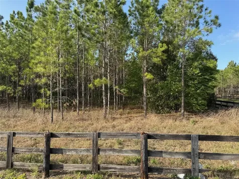 State Road 44 Eustis FL 32726