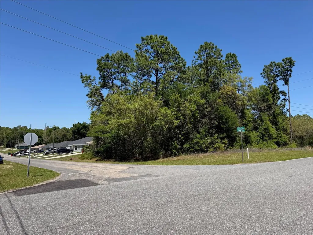 8975 N Travis Drive Citrus Springs FL 34434