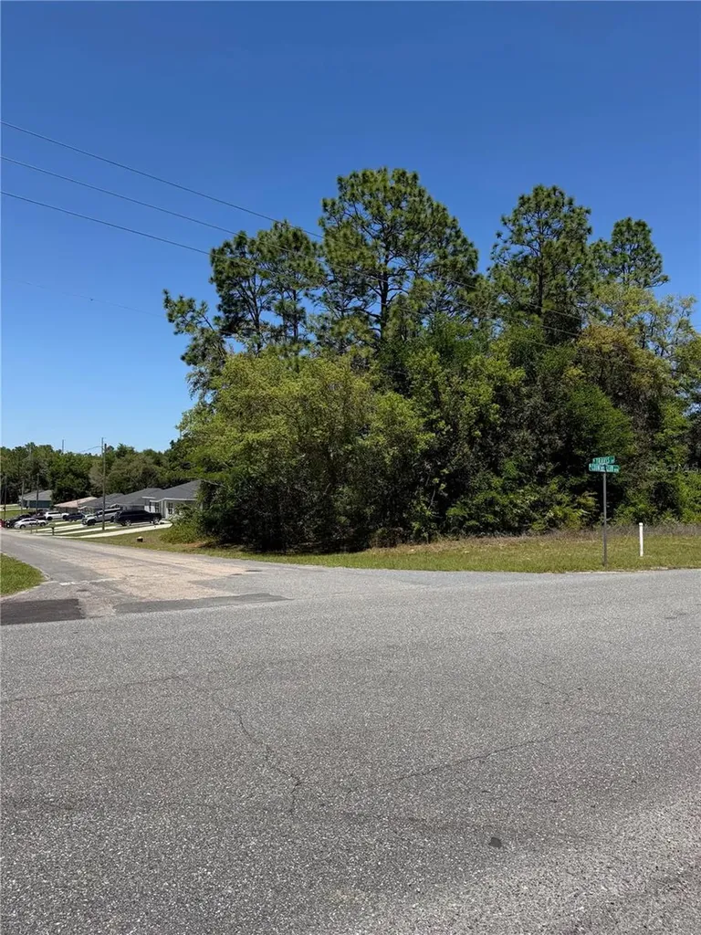 8975 N Travis Drive Citrus Springs FL 34434