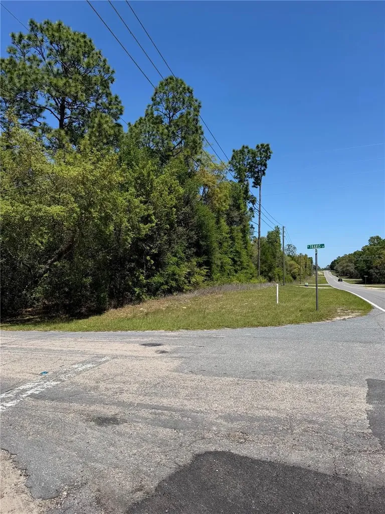 8975 N Travis Drive Citrus Springs FL 34434
