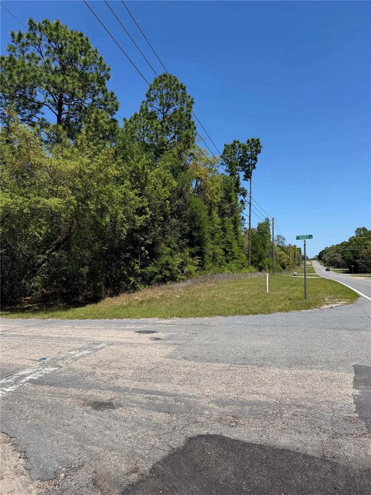 8975 N Travis Drive Citrus Springs FL 34434