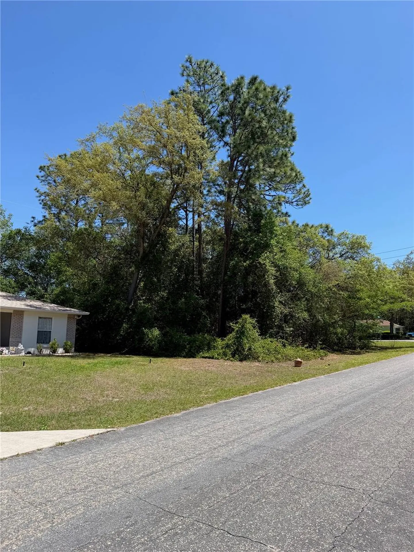 8975 N Travis Drive Citrus Springs FL 34434