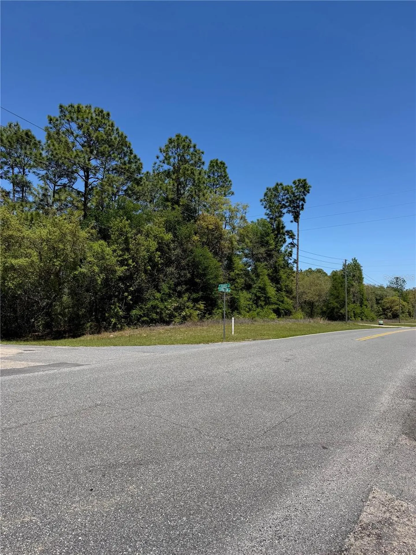 8975 N Travis Drive Citrus Springs FL 34434