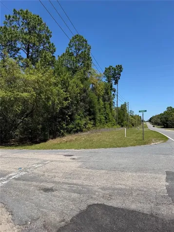 8975 N Travis Drive Citrus Springs FL 34434