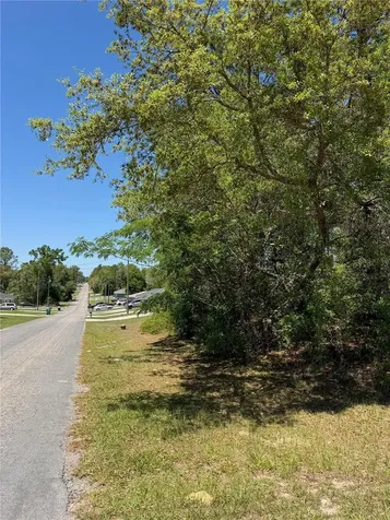 8975 N Travis Drive Citrus Springs FL 34434
