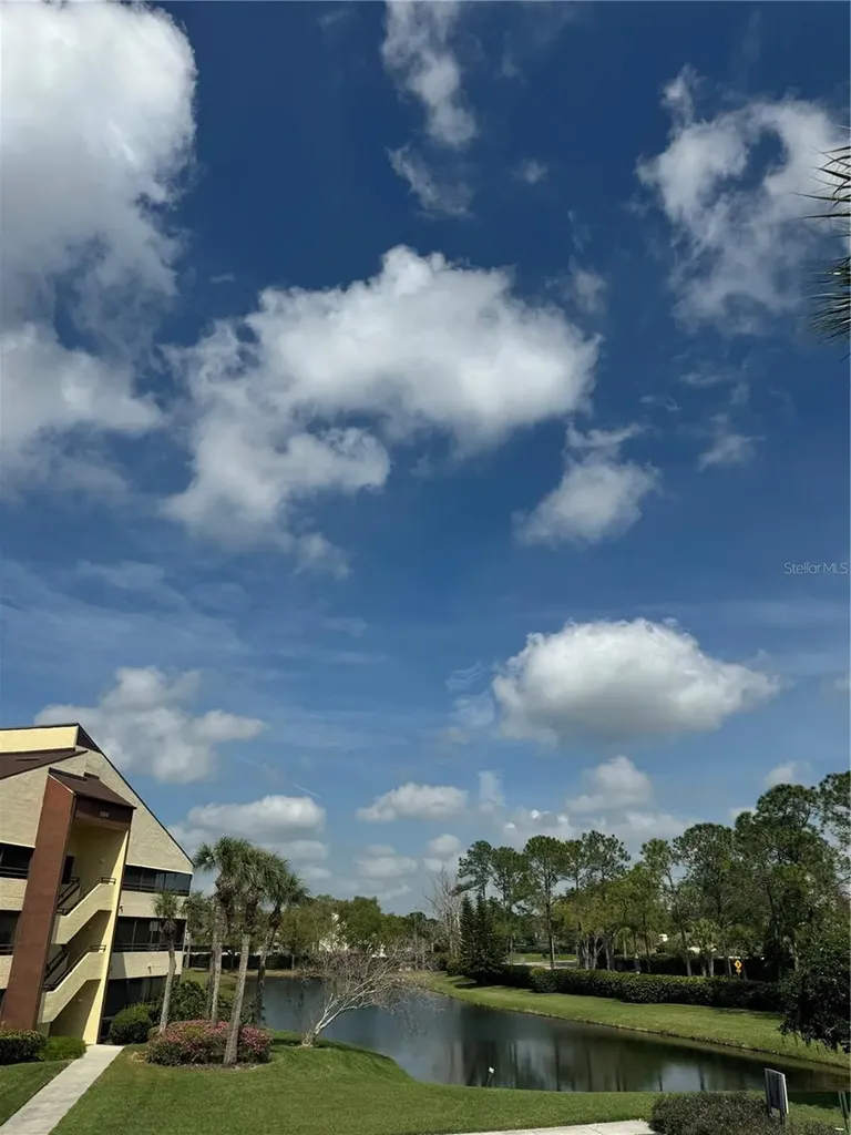 13608 S Village Drive Tampa FL 33618