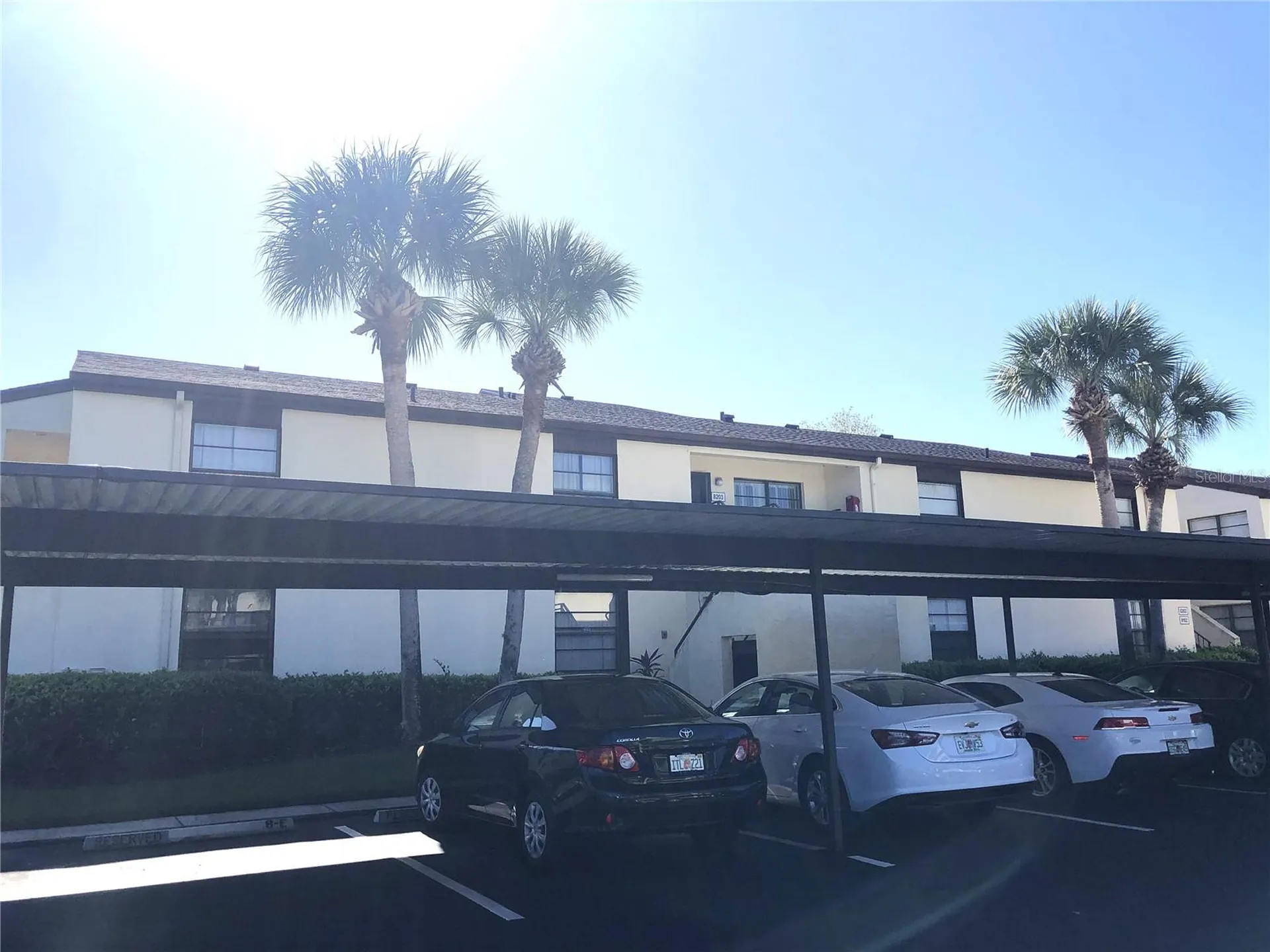 13608 S Village Drive Tampa FL 33618