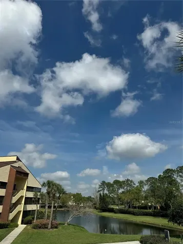 13608 S Village Drive Tampa FL 33618
