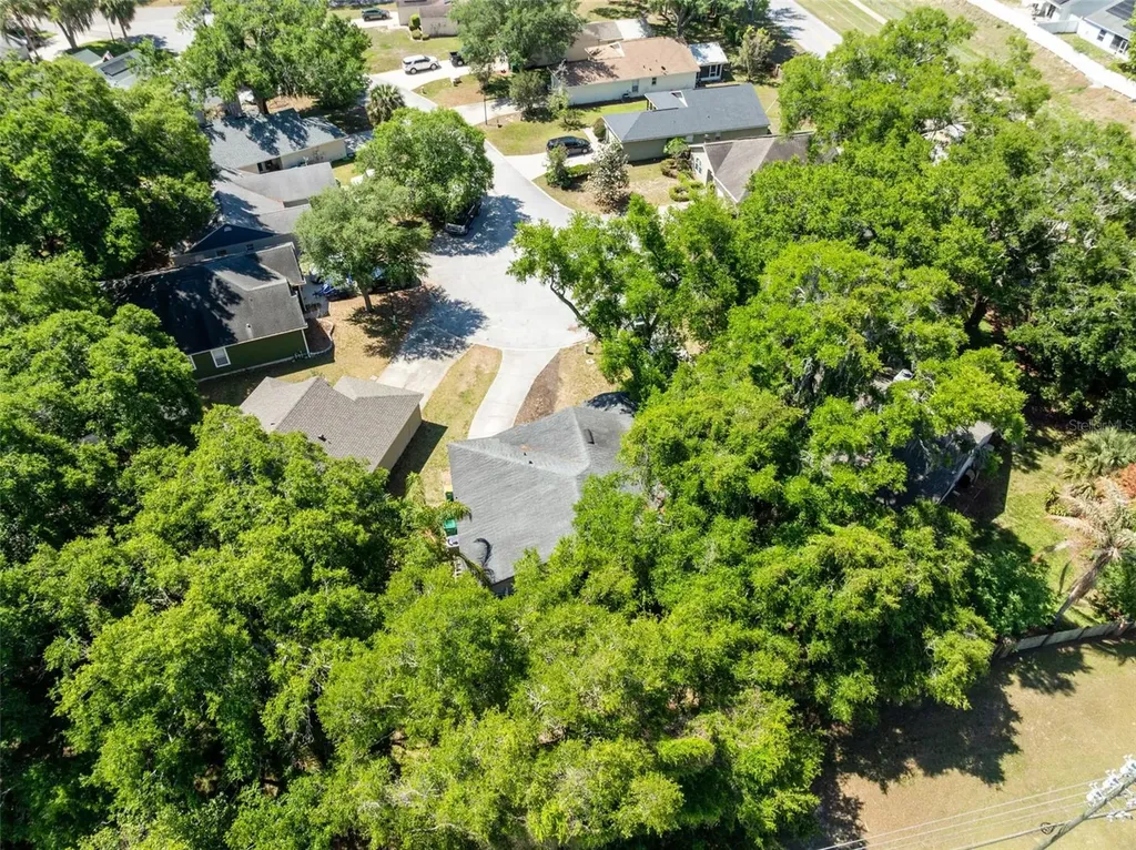601 Arlington Court Eustis FL 32726