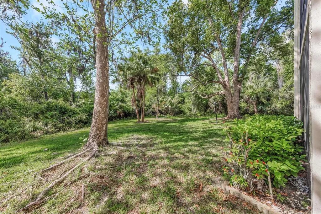 3166 Lake Pine Way S Tarpon Springs FL 34688