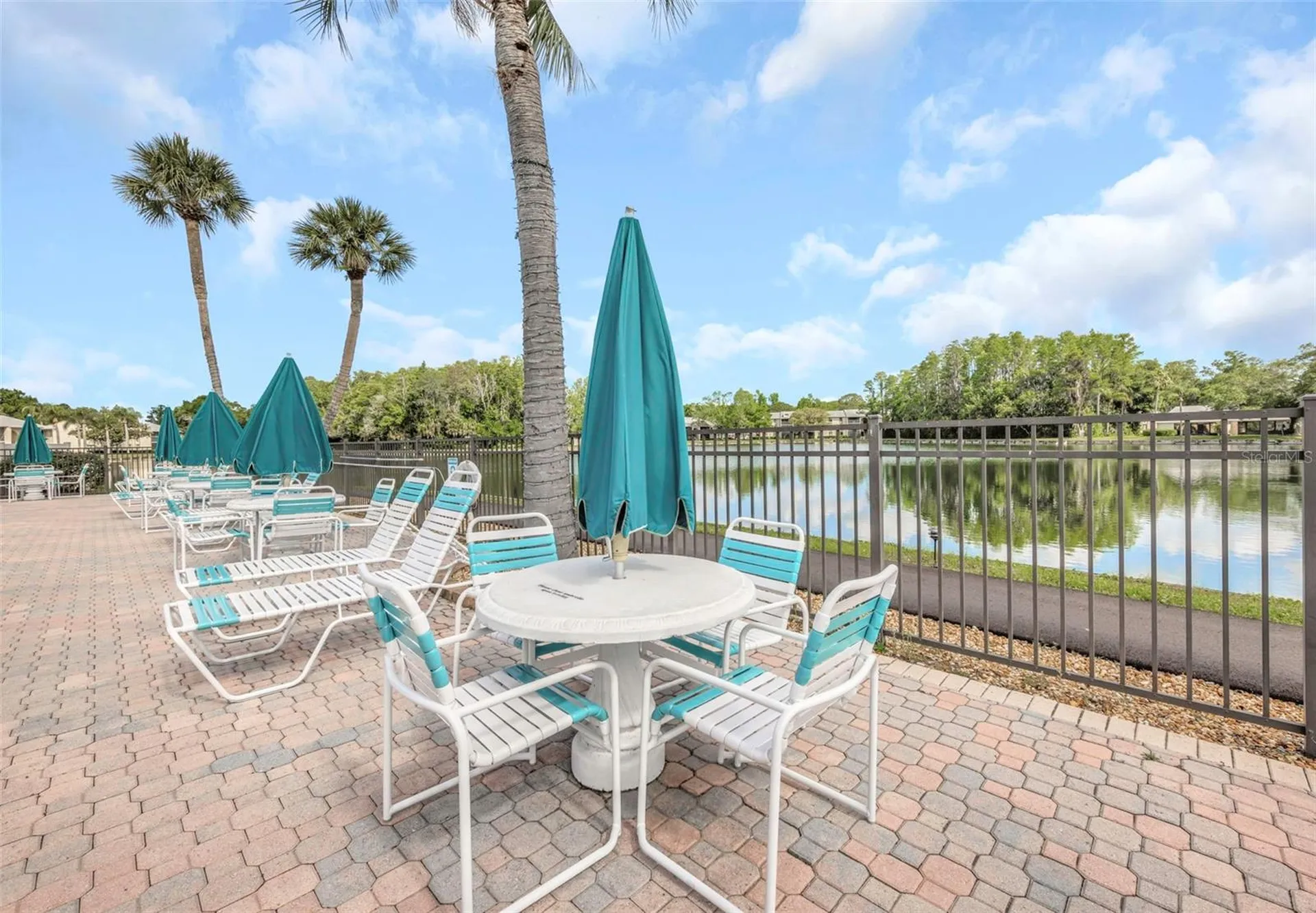 3166 Lake Pine Way S Tarpon Springs FL 34688