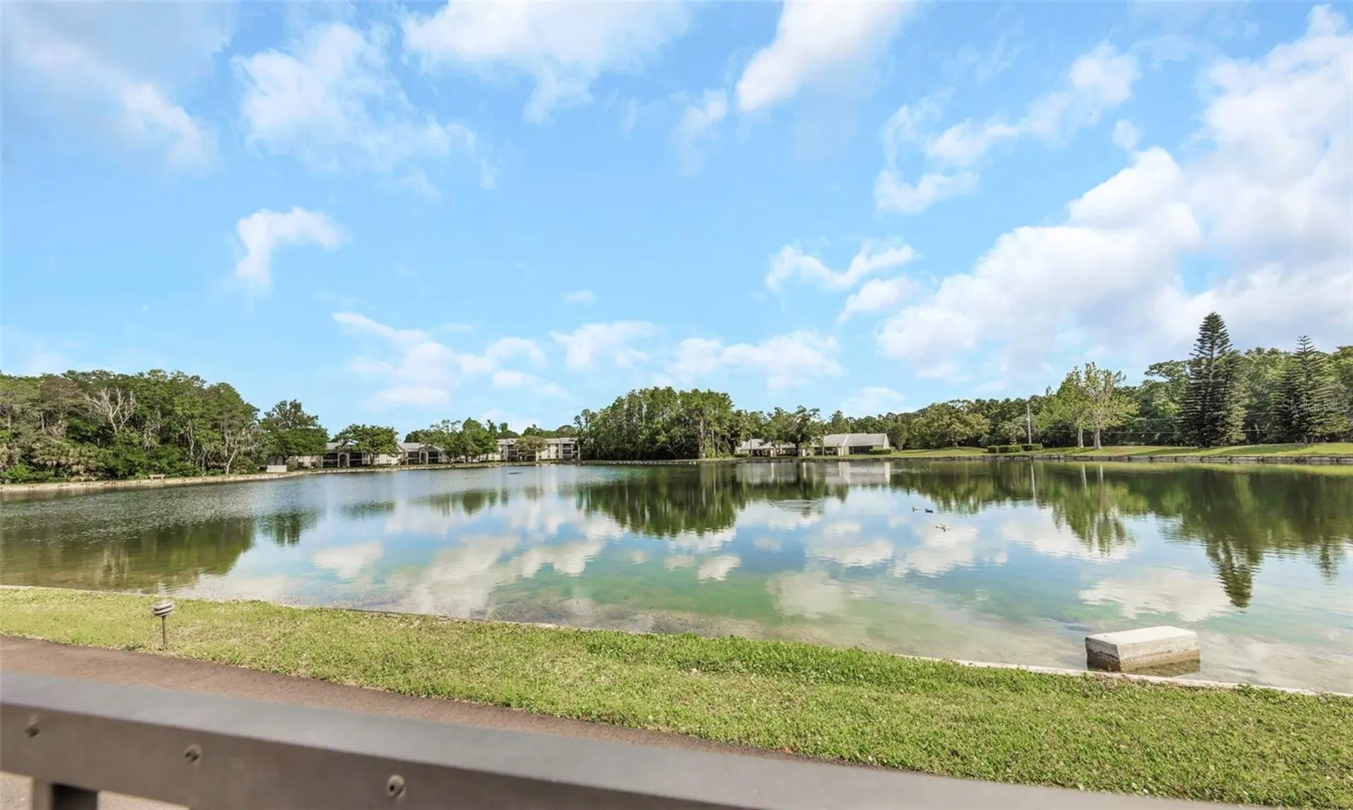 3166 Lake Pine Way S Tarpon Springs FL 34688
