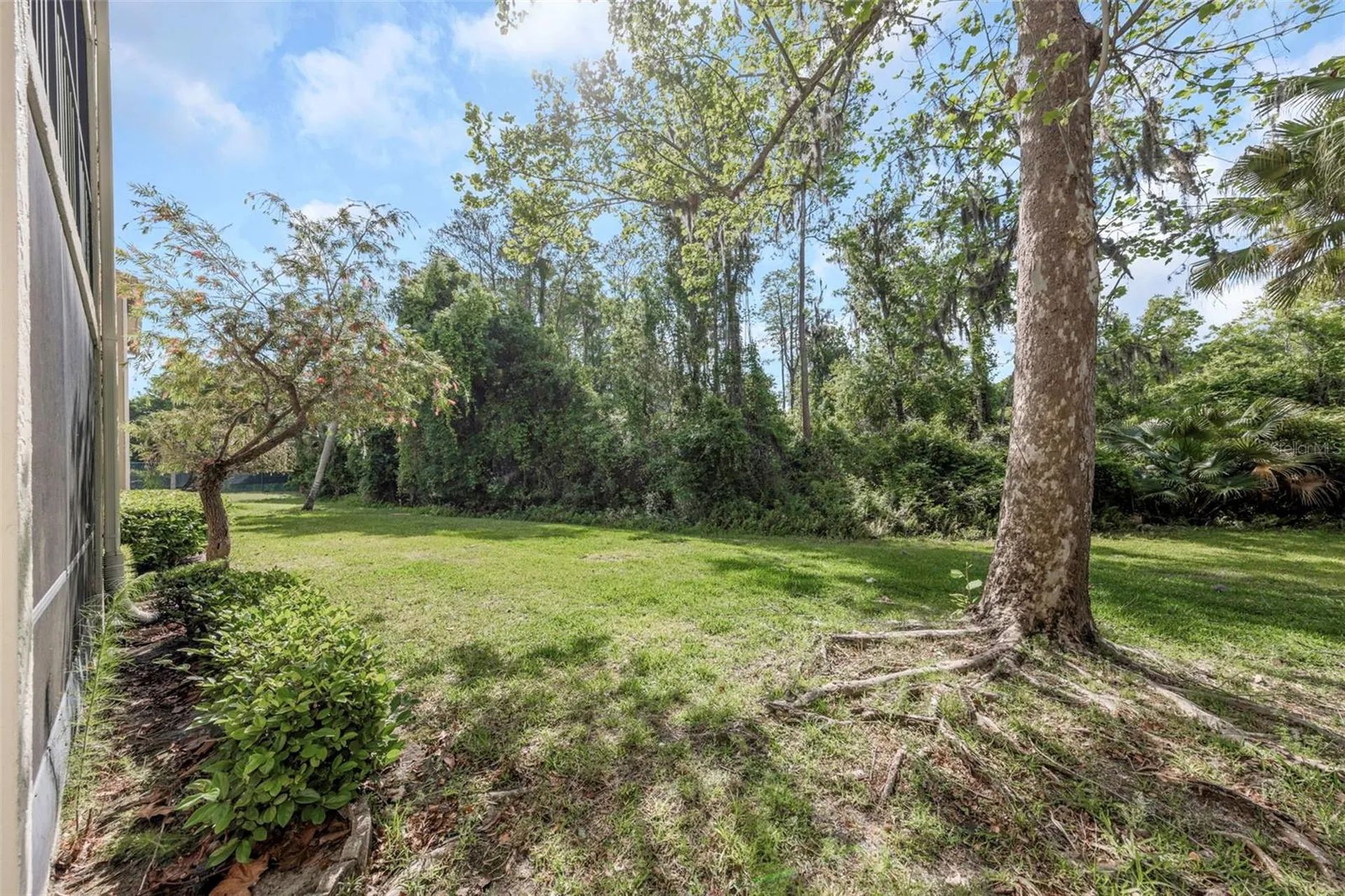 3166 Lake Pine Way S Tarpon Springs FL 34688