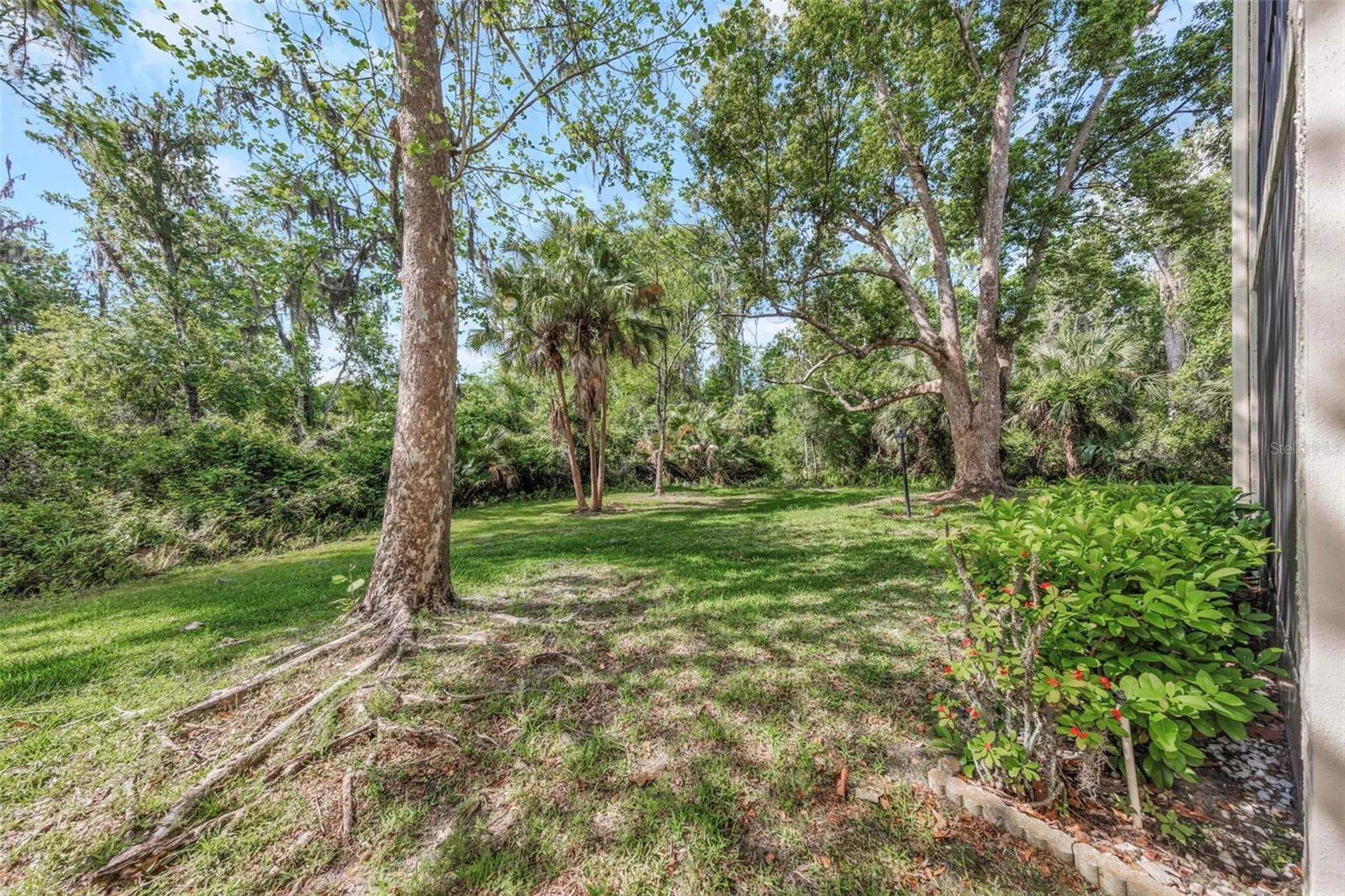 3166 Lake Pine Way S Tarpon Springs FL 34688